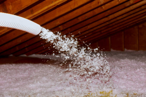 Best Basement Insulation  in Highwood, IL